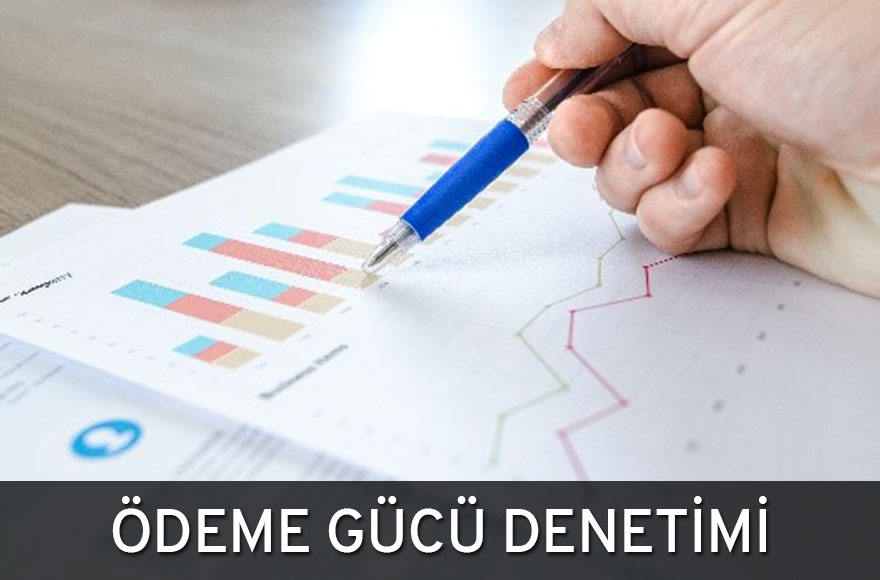 Ödeme Gücü Denetimi