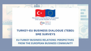 Turkey-EU Business Dialogue (TEBD) - SME Surveys for EU Companies