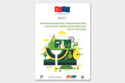 European Green Deal Transformation: A Guide for Turkish Businesses and Policy Dialogue